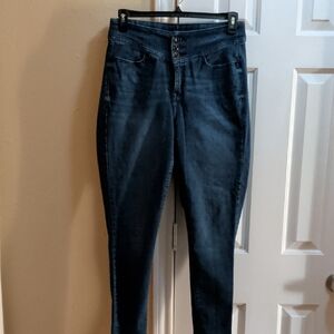 Lane Bryant Skinny Jeans in Dark Blue Wash
